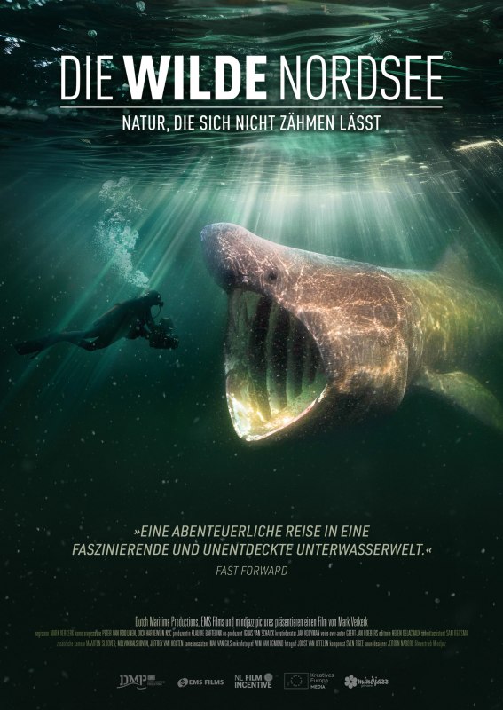 Film poster for "The Wild North Sea" - nature documentary at the Klimakino // &copy; &copy; mindjazz pictures