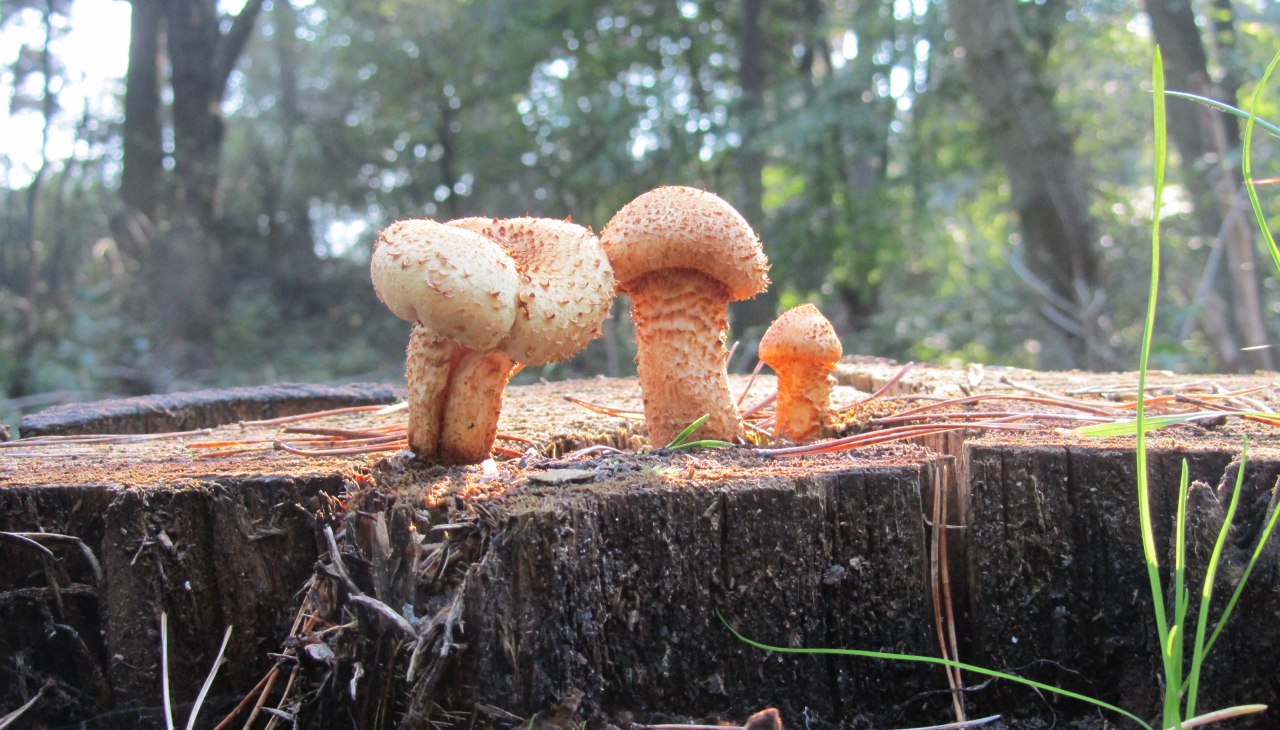 IMG_5817, © © Jana Koch IMG_5817, © © Jana Koch