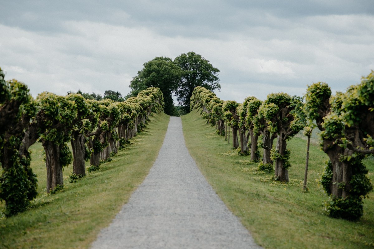 Feston avenue in front of Bothmer Castle, &copy; Fotowerker - Ganzer&Berg