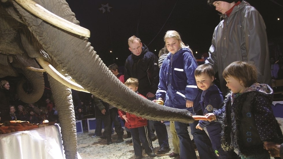 Kinderen voeden onze reuzen, © Elefantenhof Platschow