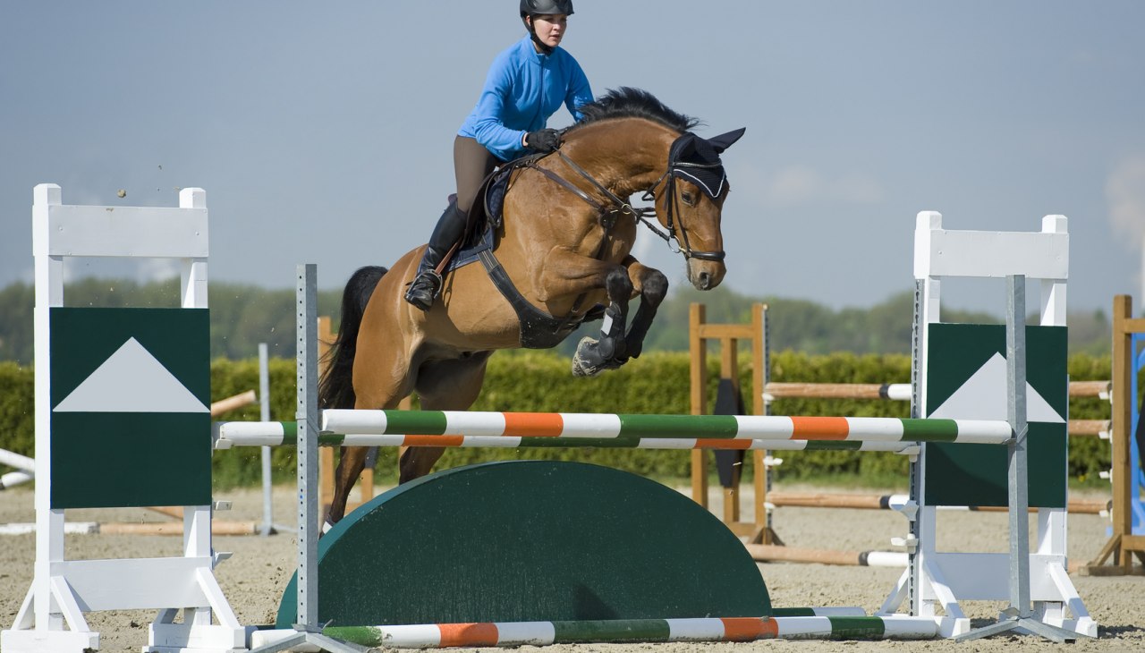 8.3, © bernsteinreiter