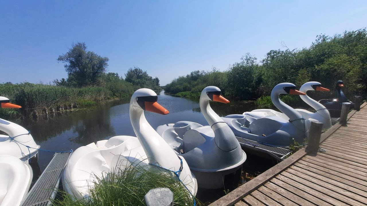 Budowniczy Moor, © Gina Schulenberg Budowniczy Moor, © Gina Schulenberg