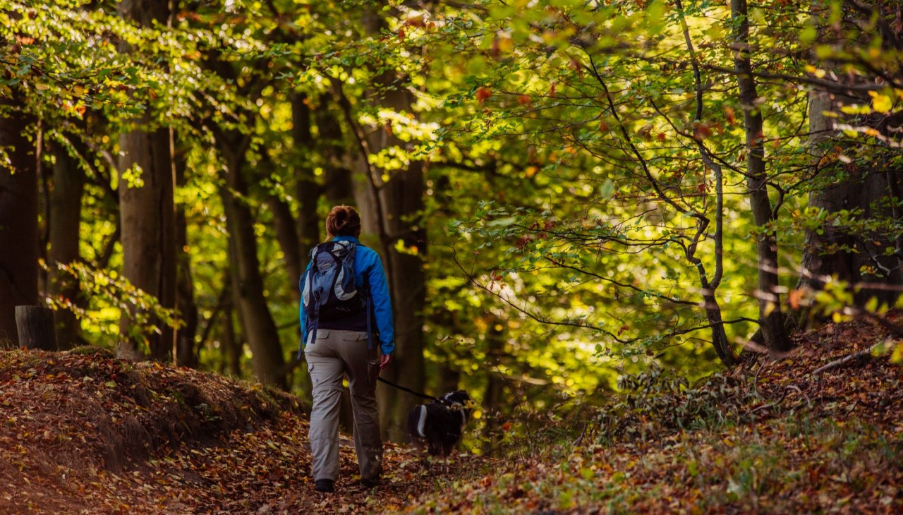 Wandeling: Op stap met de hond, © Binzer Bucht Tourismus