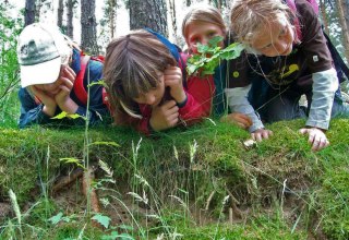 Spurensuche für Groß und Klein // © Foto: Nationalparkamt Müritz Spurensuche für Groß und Klein // © Foto: Nationalparkamt Müritz