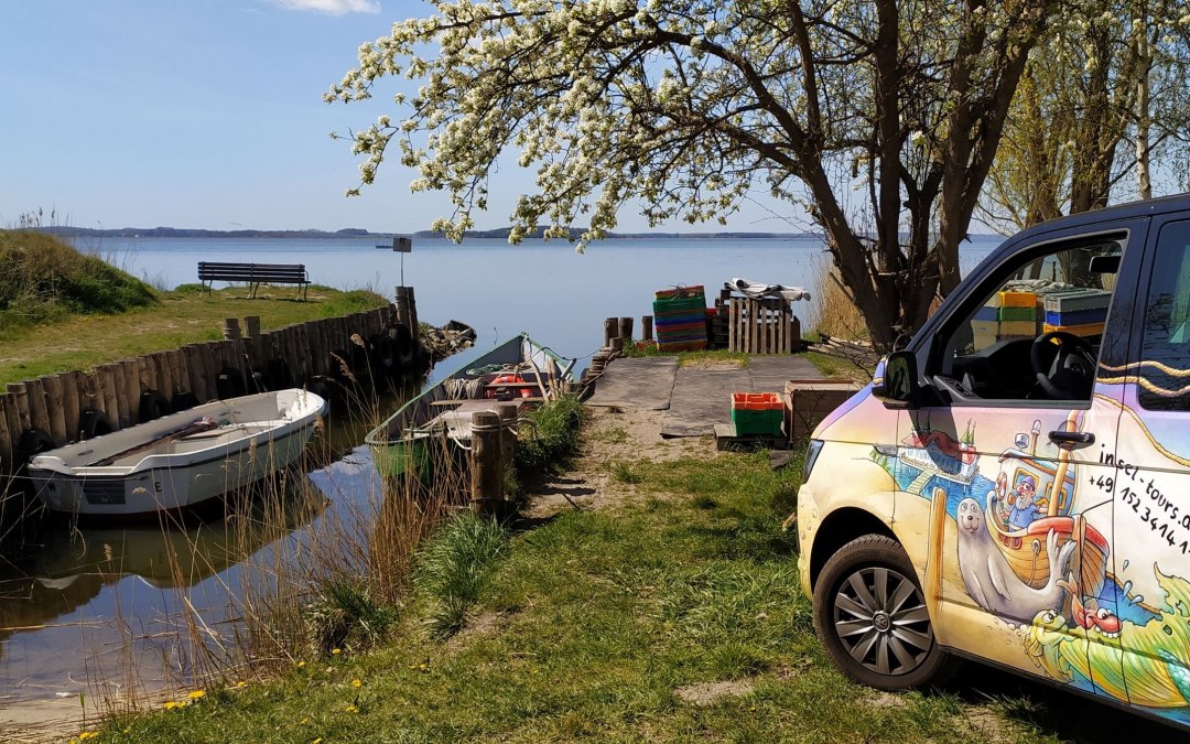 Wykład: "Fale sztormowe na bałtyckim wybrzeżu wyspy Uznam", © InselTours.jpg