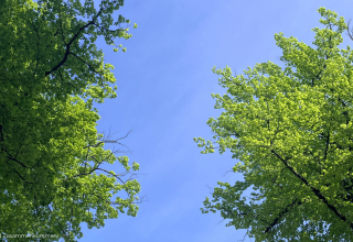 Himmel von Schwerin // © Christina Münster Himmel von Schwerin // © Christina Münster