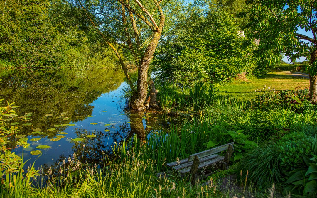 Rustplaats in het kasteelpark, © Herrenhaus Brookhusen / T. Paulus