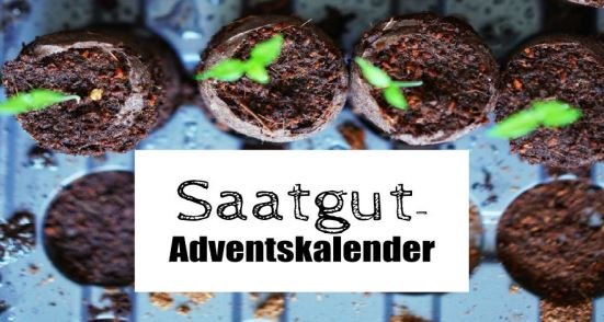 There are several young plants in small plant pots. A sign with the inscription: Seed Advent calendar, © Umweltprojekte Nord e.V.