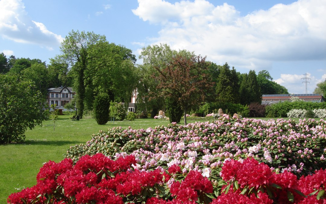 Toon tuin 1, © Kur- und Tourismus GmbH Waren (Müritz)