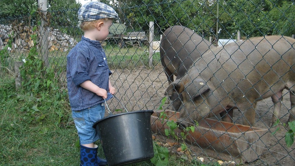 &copy; Bauernhof am Wiesengrund, Uwe Taraschewski