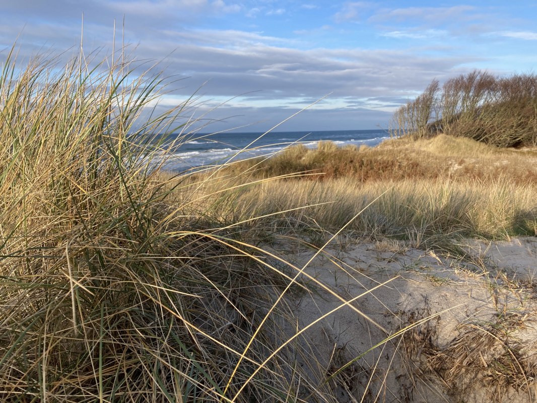 West Beach Winter // © Katrin Bärwald West Beach Winter // © Katrin Bärwald