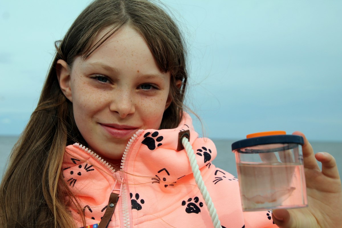 TIP VOOR FAMILIES: Strandtour voor gezinnen, &copy; Picasa