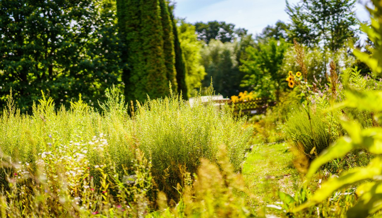 Himmelpfort monastery herb garden, &copy; Andr&eacute; Wirsig