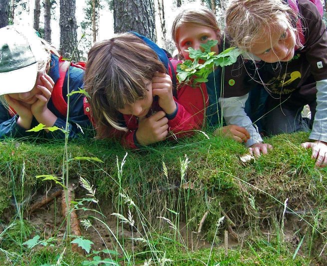 Zoeken naar aanwijzingen voor jong en oud // &copy; Foto: Nationalparkamt M&uuml;ritz