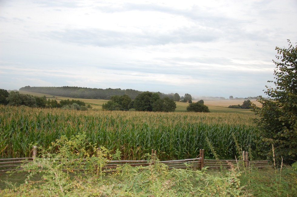 View of the former battlefield near Wakenstädt. // © Gabriele Skorupski View of the former battlefield near Wakenstädt. // © Gabriele Skorupski
