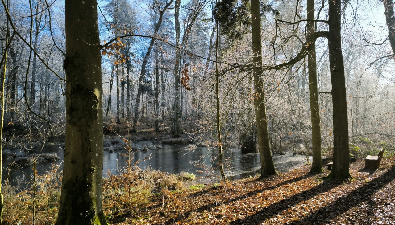 IMG_20250119_114715, © Jana Koch IMG_20250119_114715, © Jana Koch