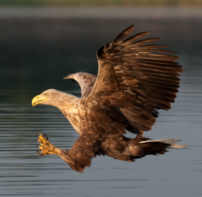 Multivision show, © Kurverwaltung Mönchgut Multivision show, © Kurverwaltung Mönchgut