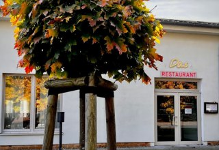 Het restaurant in Dettmannsdorf // © Das Restaurant Het restaurant in Dettmannsdorf // © Das Restaurant