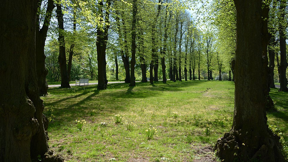 Hippodrome in the palace gardens, © Tourismusverband Mecklenburg-Schwerin