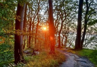 &copy; Kurverwaltung Goehren / Martin Stoever