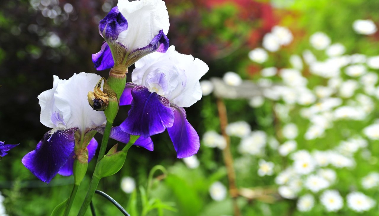 Odkryj przyrodę Pomorza Zachodniego, © Tourismusverband Vorpommern e.V. Odkryj przyrodę Pomorza Zachodniego, © Tourismusverband Vorpommern e.V.