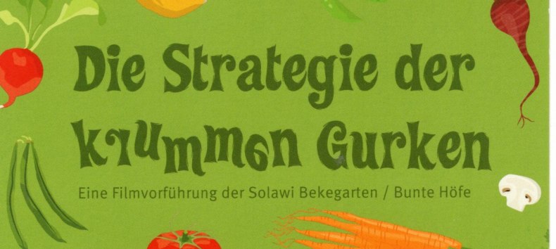 The strategy of crooked cucumbers A film screening by Solawi Bekegarten / Bunte Höfe, © PINAX. Rostock The strategy of crooked cucumbers A film screening by Solawi Bekegarten / Bunte Höfe, © PINAX. Rostock