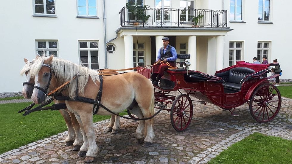 Whether it's a children's birthday party, a company outing, a group trip, a bachelor party - the Mecklenbuger Kutsch- und Kremserfahrten will drive you! // © Mecklenburger Kutsch- und Kremserfahrten/ Axel Peters Whether it's a children's birthday party, a company outing, a group trip, a bachelor party - the Mecklenbuger Kutsch- und Kremserfahrten will drive you! // © Mecklenburger Kutsch- und Kremserfahrten/ Axel Peters