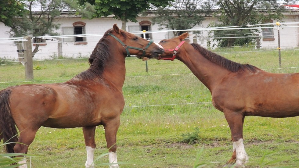 I love you! // &copy; Kurverwaltung Insel Poel