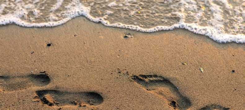 &copy; Bild von Nathan Osman auf Pixabay