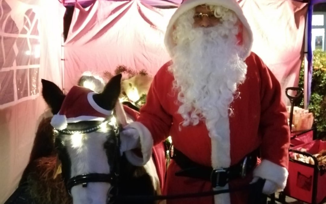 Santa Claus with Christmas pony, © TDG Rechlin mbH