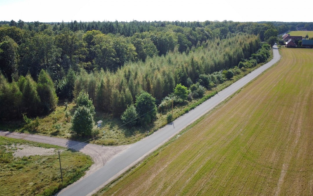 DJI_0836-klein, © Landesforst MV