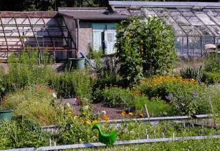 &copy; Bildautor/ Fotograf  Heike Stegmann