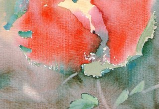 © egon arnold © egon arnold