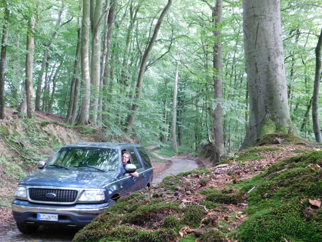 Hollow way near Dudendorf in the Recknitz valley // &copy; Oliver Hellweg