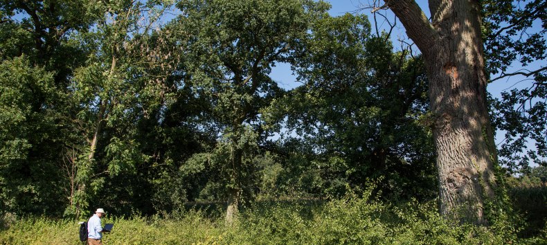 Assessment of hedges and trees, © Biosphärenreservatsamt Schaalsee-Elbe Assessment of hedges and trees, © Biosphärenreservatsamt Schaalsee-Elbe