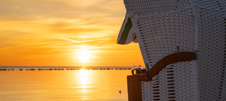 &copy; Pocha Burwitz