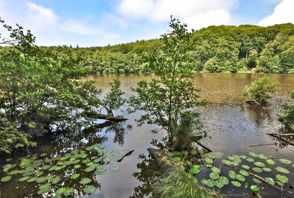 herthasee_2, &copy; TMV/Gohlke