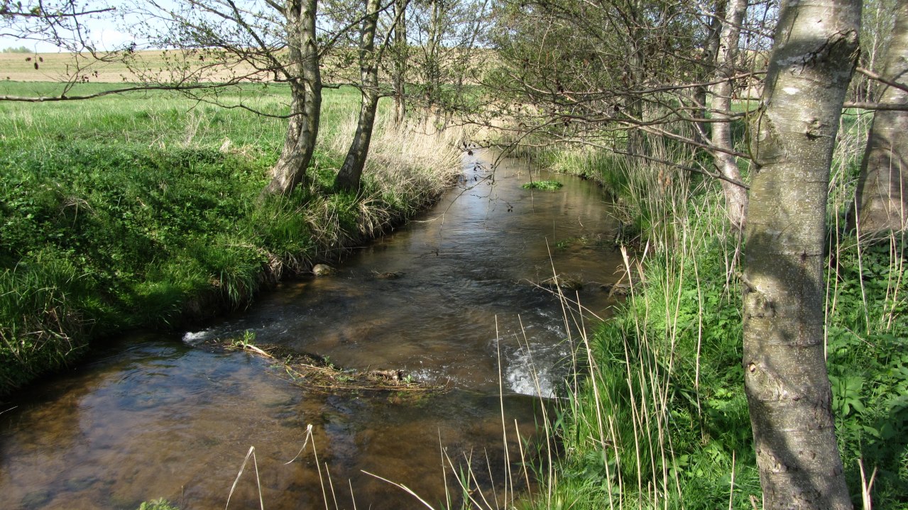 26-04-18 Wandeling naar het meer van Malchin, GMZ, © C 26-04-18 Wandeling naar het meer van Malchin, GMZ, © C