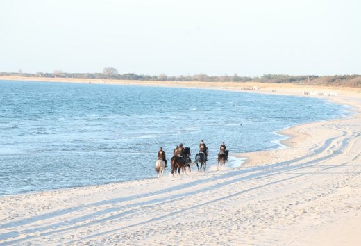 Serca jeźdźców biją szybciej na ten widok. Marzenia się spełniają podczas jazdy na plaży w Meklemburgii-Pomorzu Przednim., © TMV/Pantel