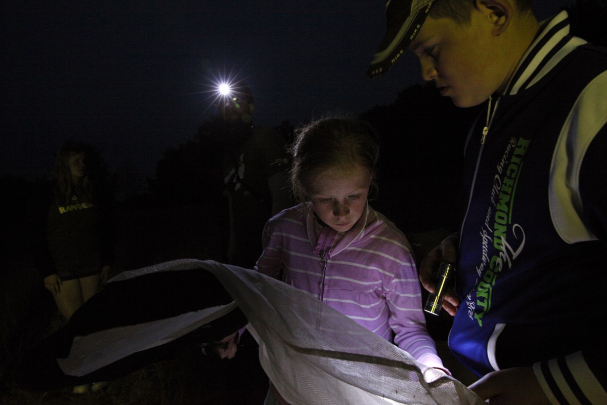 Spannende nachtvlinderbioscoop // &copy; Biosph&auml;renreservatsamt Schaalsee-Elbe