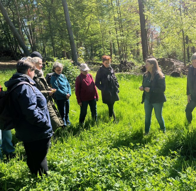 Herb round in the forest // &copy; Petra Dittmar