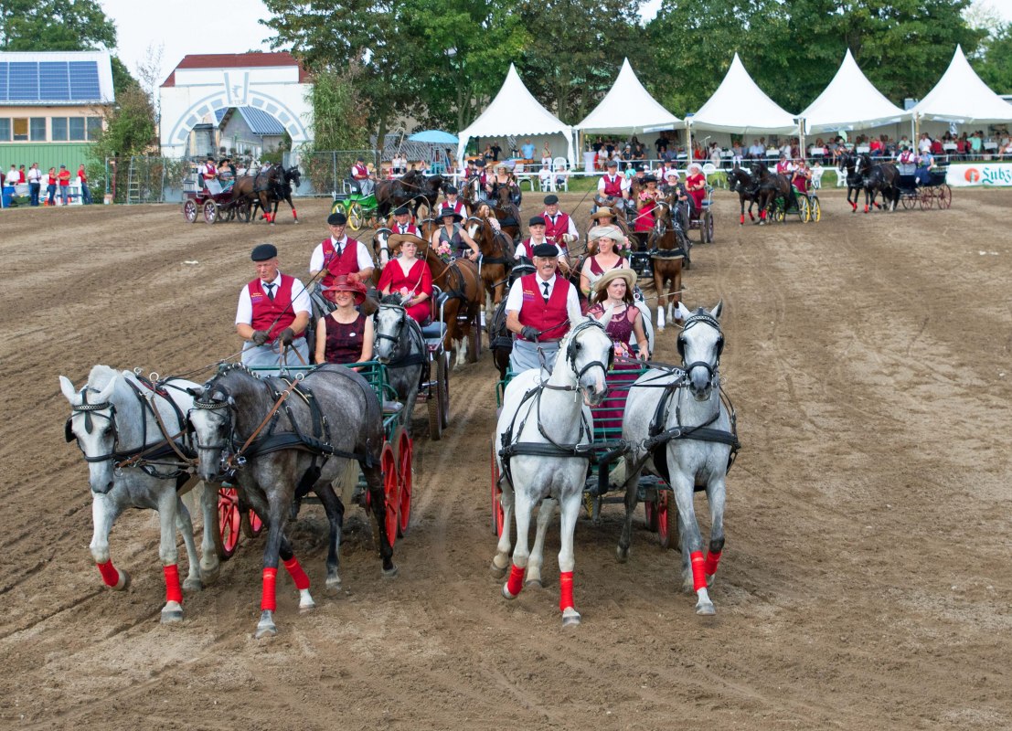 2-konny quadrille // &copy; Gest&uuml;t Ganschow