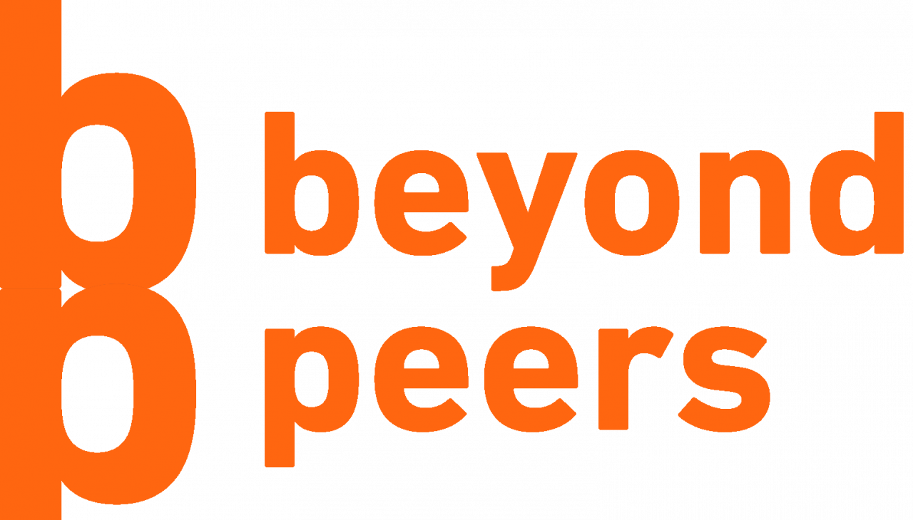 Meer dan gelijken bij DeveLUP, © Beyond peers