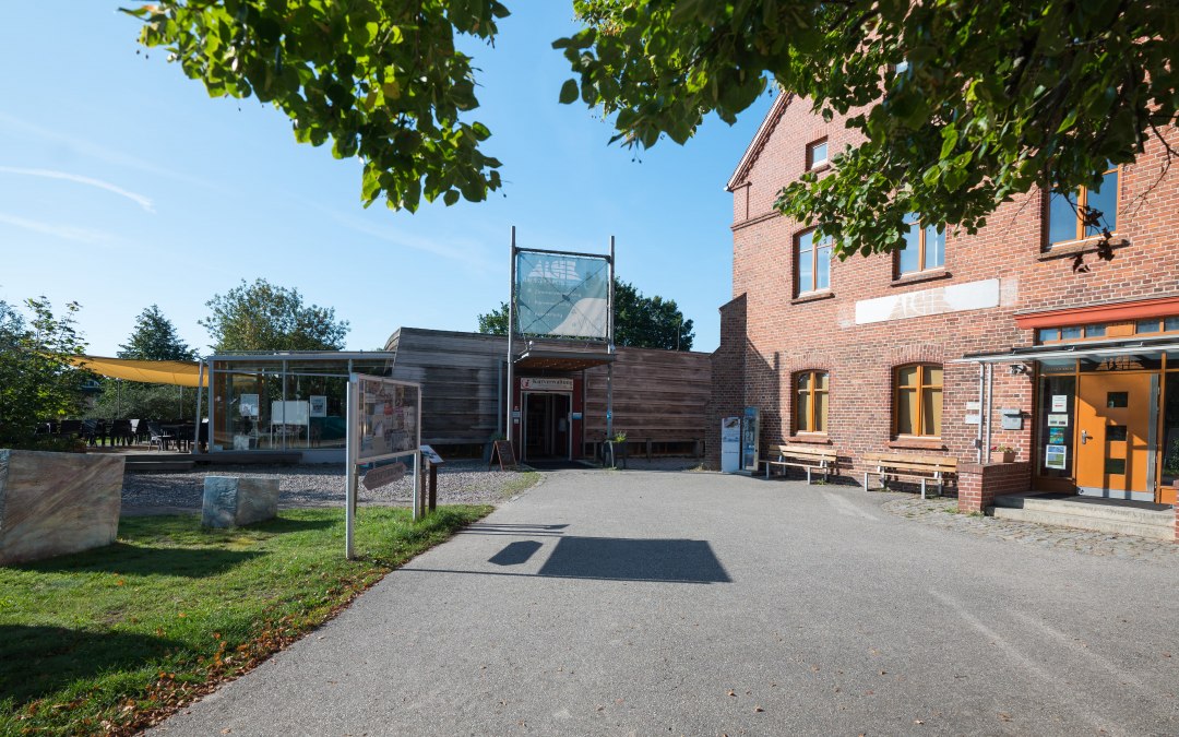 Darßer Arche Wieck (3)-min, © Moritz Kertzscher