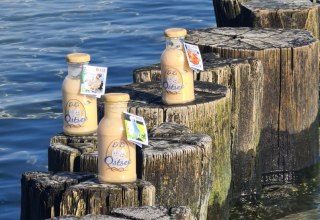 &copy; EiEiOstsee Dr. Thomas Graupner