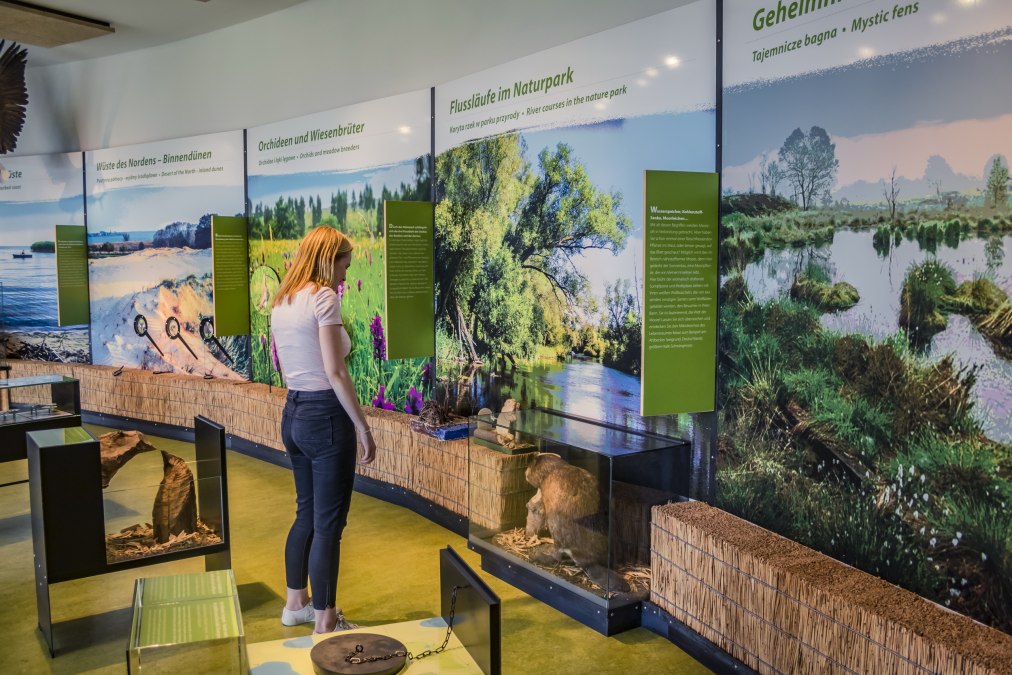 Natuurpark Am Stettiner Haff - Tentoonstellingszalen, © tvv/Philipp Schulz