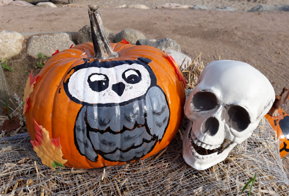 Halloween in het park, © minimare der Entdeckerpark Halloween in het park, © minimare der Entdeckerpark