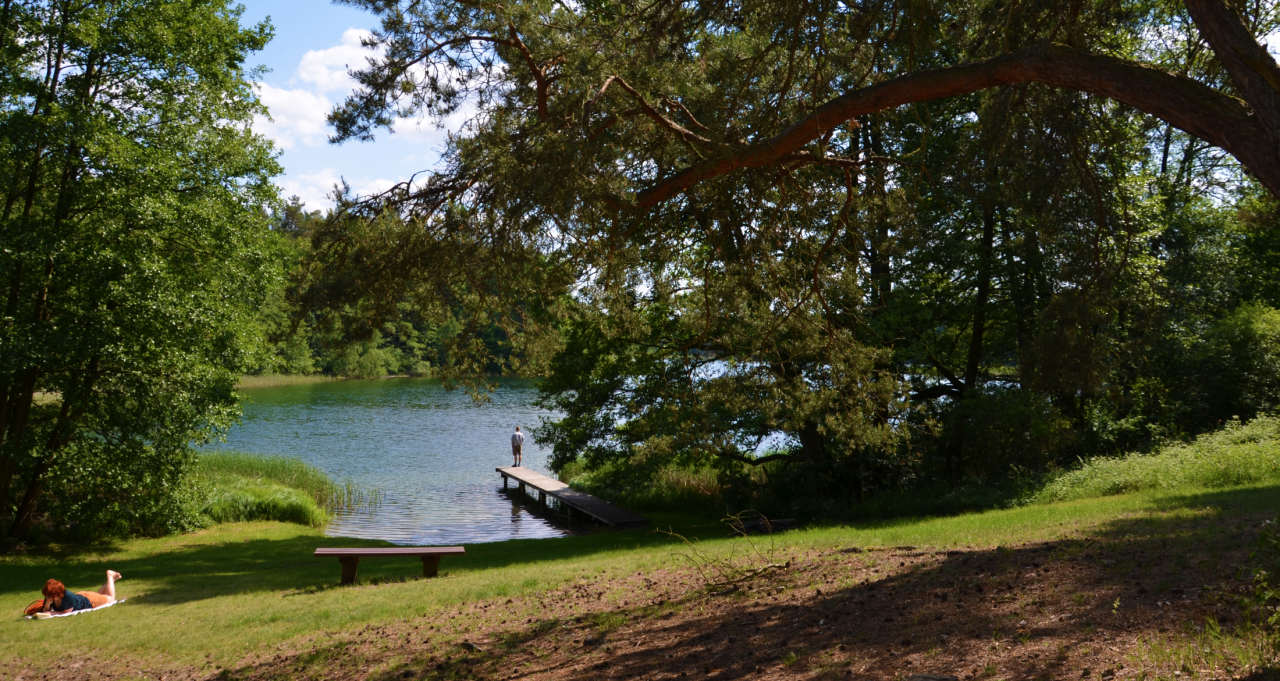 &copy; Martin M&ouml;ller