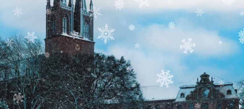 © https://kloster-dobbertin.de/events/adventsmarkt-dobbertin-2026-kloster-dobbertin-28-11/ © https://kloster-dobbertin.de/events/adventsmarkt-dobbertin-2026-kloster-dobbertin-28-11/