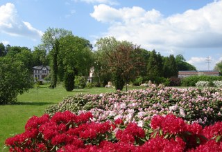 © Kur- und Tourismus GmbH Waren (Müritz) © Kur- und Tourismus GmbH Waren (Müritz)